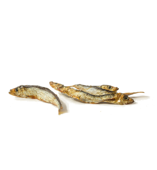Wolfsinstinkt Sprotten Sillinge 100g