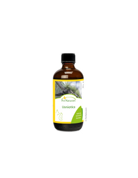 Pernaturam Usniotica (100 ml)