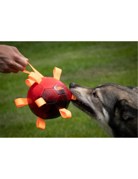 Dog Comets Hypernova Orange