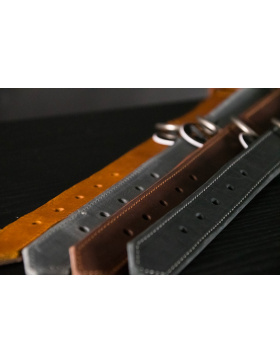 Spotted! Pro Lederhalsband Schwarz 3x55cm