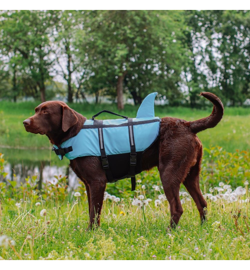 Nobby Hunde Schwimmhilfe "Sharki" hellblau Größe M 35cm