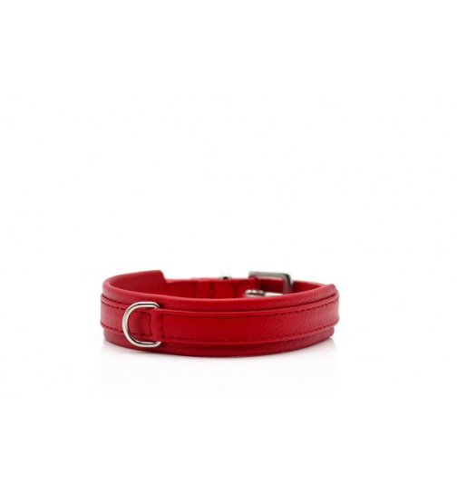 Lederhalsband " Mini Klassik " rot/silber, L: 30cm B: 18mm