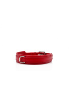 Lederhalsband " Mini Klassik " rot/silber, L: 30cm B: 18mm