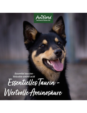AniForte® Taurin Pulver für Hunde 100g