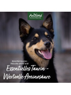 AniForte® Taurin Pulver für Hunde 100g