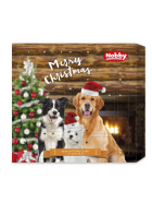 Nobby Adventskalender - Hund- Stk.