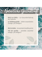 AniForte® Grünlippmuschel Kapseln - 100 Stk.