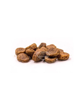 Trovet Intestinal Hund / DPD 10kg