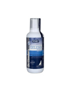 DC Gelenk Serum  50g