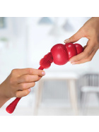 KONG Brush