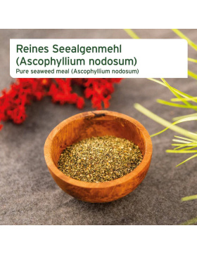 Aniforte Seealgenmehl 250g