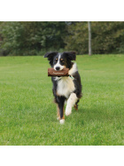 Trixie Preydummy, Canvas, ø 8 × 20 cm, braun