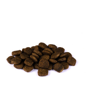 Christopherus Getreidefrei Senior Ente & Kartoffel 750g