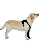 Schutzstrumpf Suitical - Recovery Sleeve Hund schwarz (S)