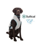 Suitical Kühlweste für Hunde - DRY cooling Vest (L)